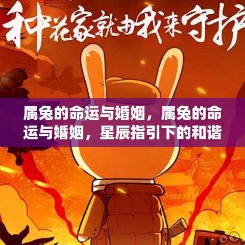 拾金不昧 第4页