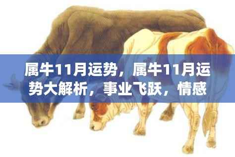 一石二鸟 第4页