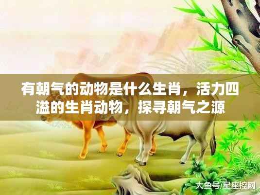 探寻活力四溢的生肖动物,朝气之源揭秘!