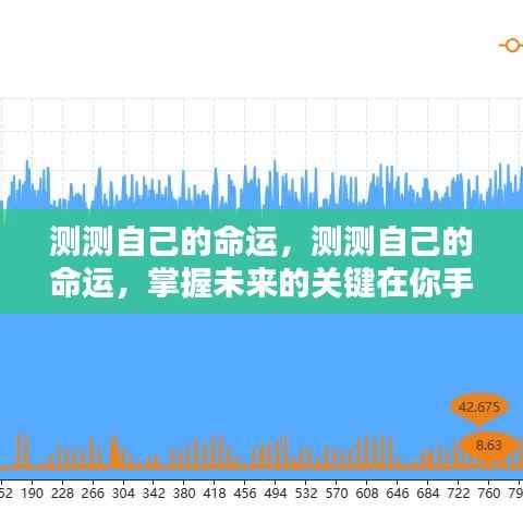 掌握命运之轮，自我测试揭示未来走向