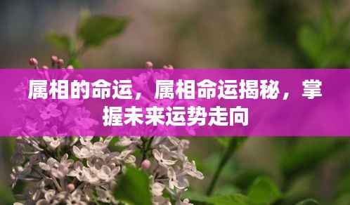 择善而从 第4页