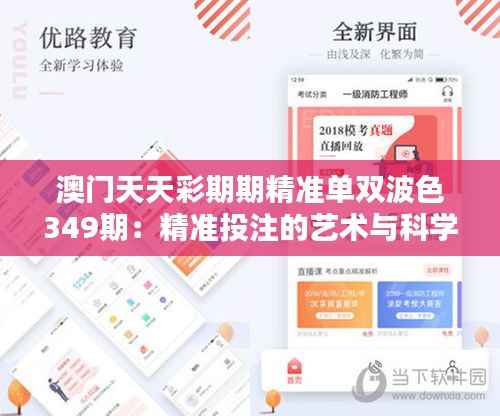 澳门天天彩期期精准单双波色349期:精准投注的艺术与科学