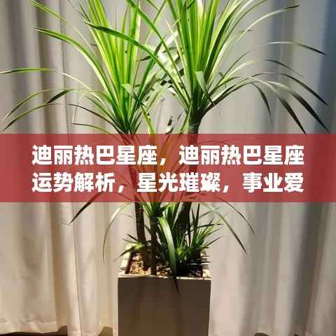 迪丽热巴星座运势解析,星光璀璨,事业爱情双丰收