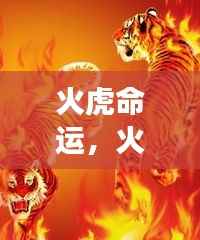 烈火中的坚韧与成功之光,火虎命运揭秘