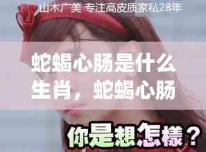 蛇蝎心肠生肖揭秘,探寻背后的真相