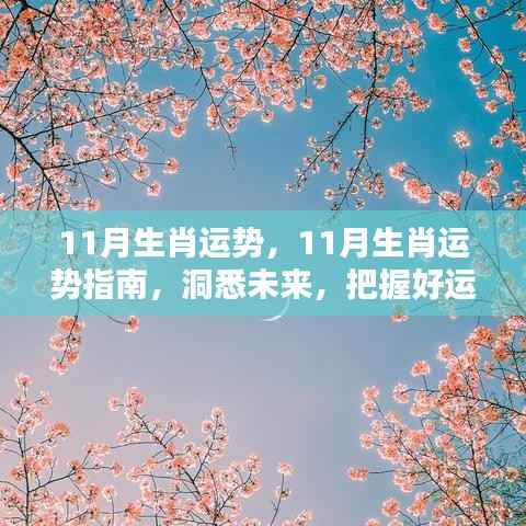 11月生肖运势解析,洞悉未来,把握好运势指南