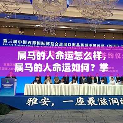 掌握关键要素,属马人的未来命运可期!