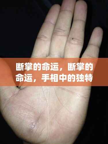 断掌的命运,手相中的独特解读与人生轨迹探索