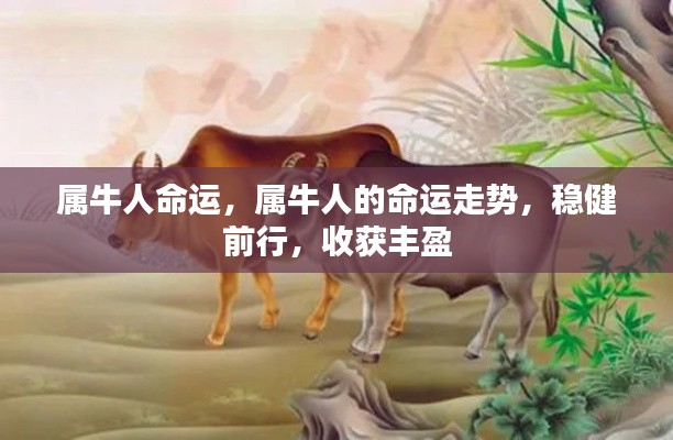 属牛人的命运走势,稳健前行,丰盈收获