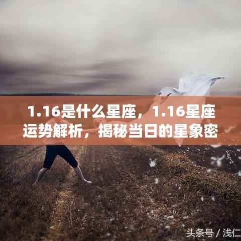 揭秘1月16日星座运势与星象密码解析