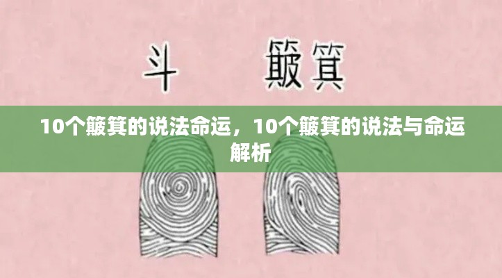揭秘十个簸箕命运之谜,深度解析命运走向与人生轨迹