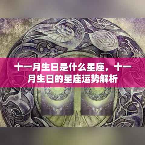 十一月生日星座运势深度解析,探寻星座奥秘,揭秘十一月运势走向