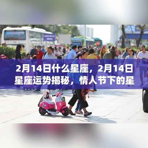 情人节下的星座运势揭秘,2月14日星座光环与星座运势展望