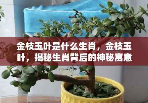 揭秘生肖背后的神秘寓意,金枝玉叶与生肖的关联解析