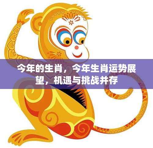 今年生肖运势展望,机遇与挑战同行