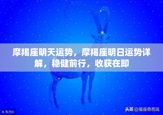 摩羯座明日运势详解,稳健前行,收获在即的运势展望