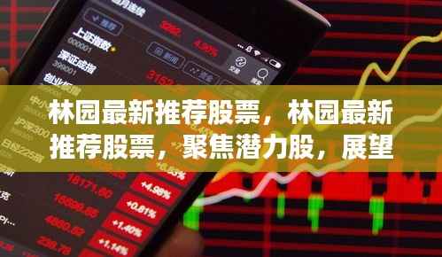 林园聚焦潜力股,最新推荐股票及股市前景展望