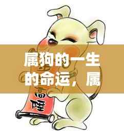 属狗人一生运势深度解析,命运轨迹与幸运展望