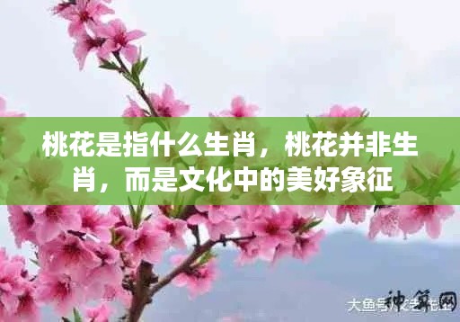 桃花,美好文化象征而非生肖标签