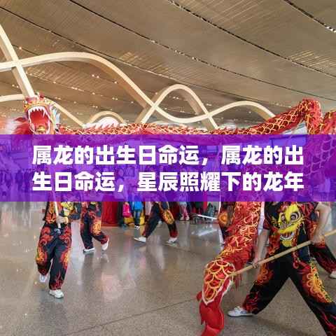 星辰照耀下的属龙命运,龙年出生日的生命轨迹探索