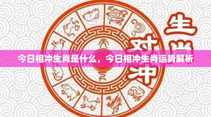 今日相冲生肖运势解析及运势特点揭秘