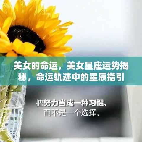 美女星座运势揭秘,星辰指引下的命运轨迹