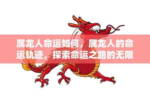属龙人的命运轨迹,探索无限可能的命运之路。