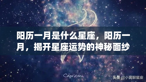 阳历一月星座揭秘,摩羯座独领风骚,揭开星座运势神秘面纱