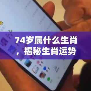 揭秘生肖运势,探寻74岁属相生肖之奥秘