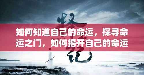 揭秘命运之门,探寻个人命运之旅的启示之道