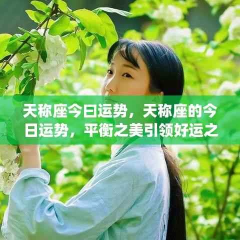 天称座的今日运势揭秘,平衡之美照亮好运之光
