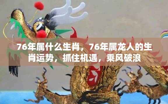 76年属龙人的运势展望,乘风破浪抓住机遇