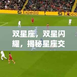 双星座交融独特运势揭秘,双星闪耀下的个性命运解析