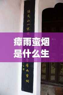 瘴雨蛮烟与生肖运势,神秘交织的运势解读探索