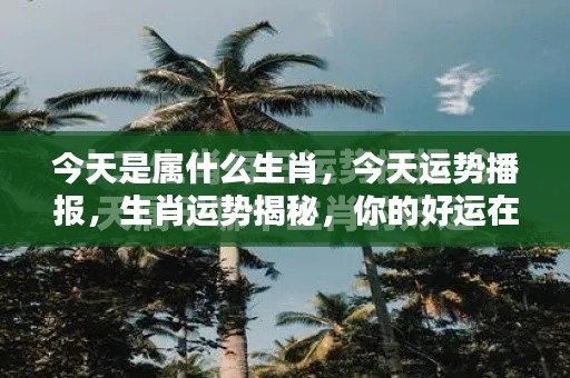 揭秘今日生肖运势,探寻你的幸运之源