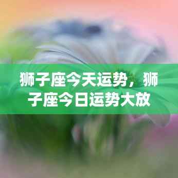 狮子座今日运势大放异彩,无限机遇与活力充沛!