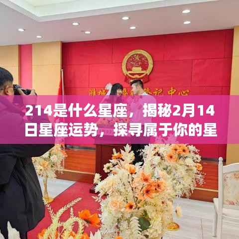 揭秘2月14日星座运势,探寻属于你的星座奥秘及星座性格特征解析