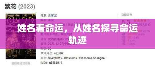 姓名探寻命运轨迹,揭开命运之谜的钥匙