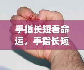 手指长短揭示命运之谜,微观之手相探秘之旅