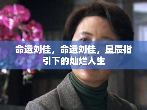 命运刘佳,星辰照耀下的灿烂人生之旅