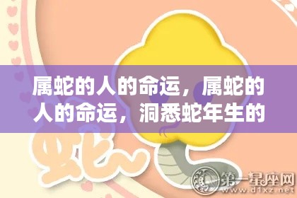属蛇人的命运详解,洞悉蛇年运势轨迹
