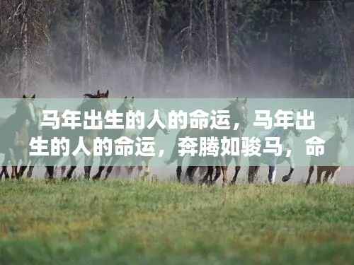 马年出生者的命运展望,如骏马奔腾,命运究竟多舛还是顺风顺水?