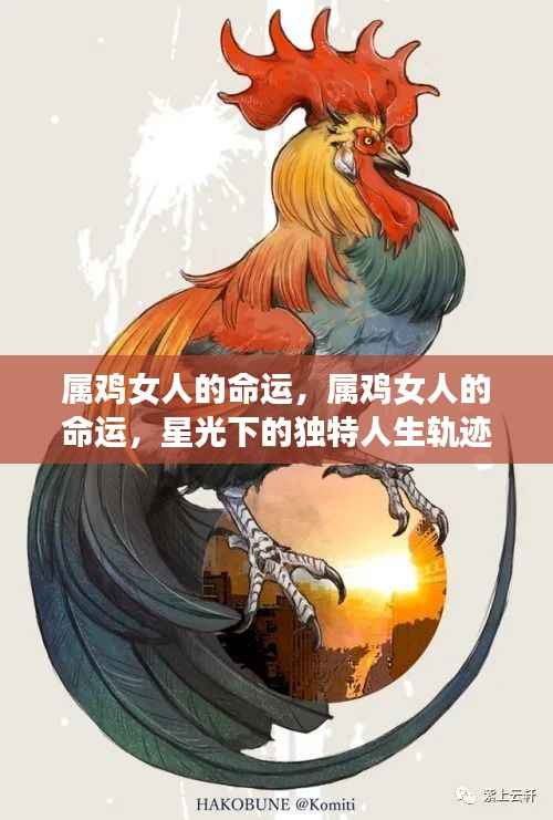 属鸡女人的命运,星光下的独特人生轨迹探索