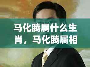 揭秘马化腾属相,生肖与互联网巨头星座运势的神秘奇缘