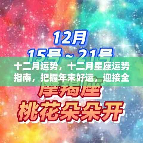 纲举目张 第4页