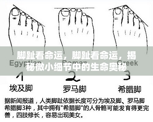 脚趾奥秘揭秘,微小细节揭示命运之门