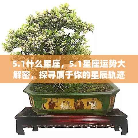 1星座运势揭秘,探寻属于你的星辰轨迹