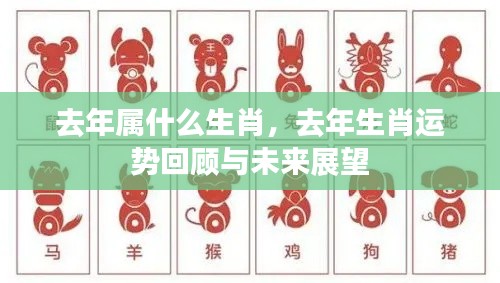去年生肖运势回顾与未来展望,探寻生肖运势变迁之路