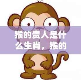 猴的贵人相助,生肖互助联盟揭秘,猴的贵人是什么生肖?