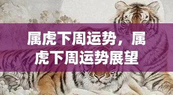 属虎下周运势展望与预测